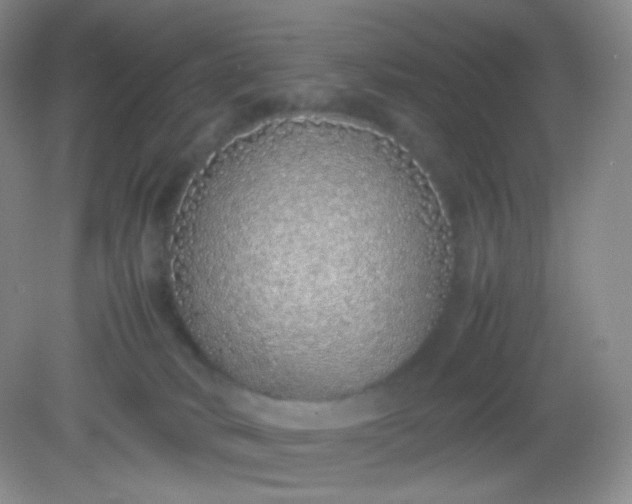 X0000082140034200702021620