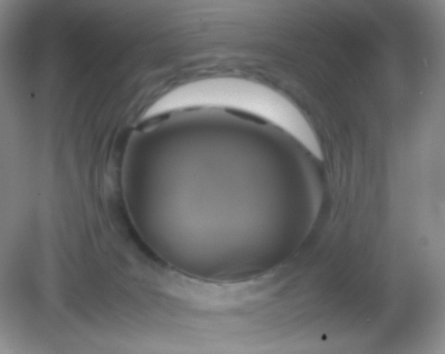 X0000082140035200702021620