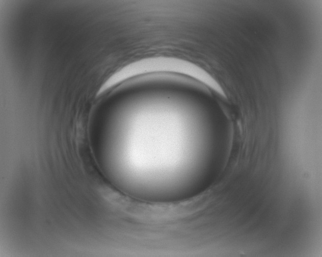 X0000082140037200702021620