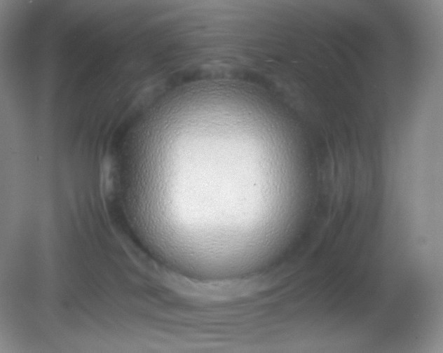 X0000082140038200702021620