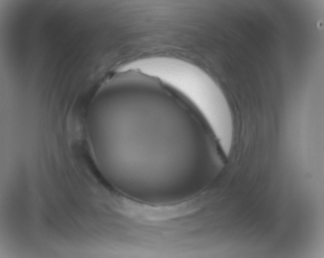 X0000082140039200702021620