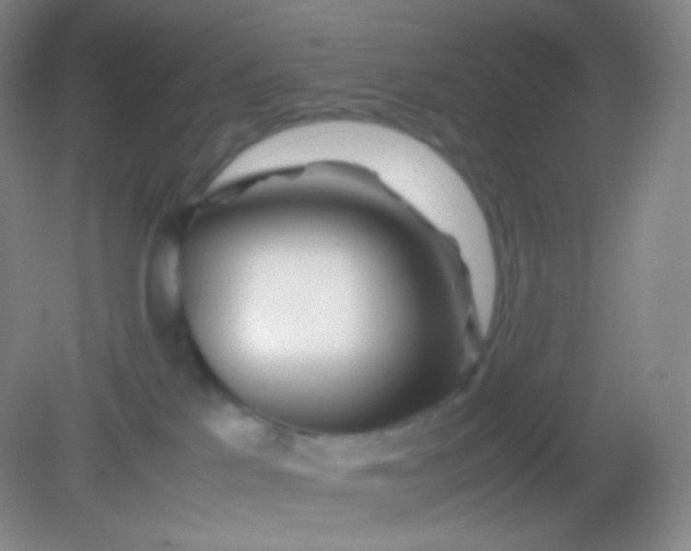 X0000082140041200702021620