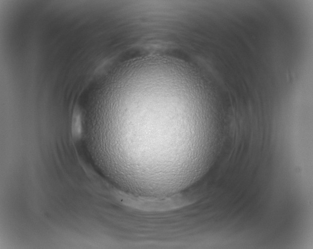 X0000082140042200702021620