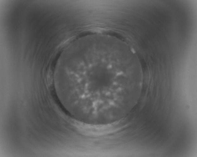 X0000082140043200702021620