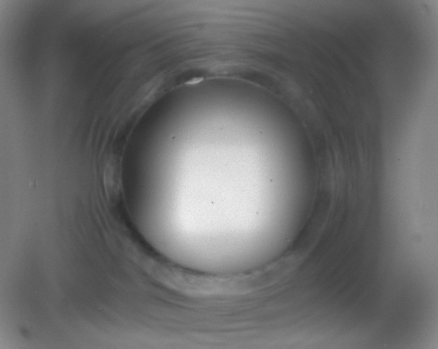 X0000082140044200702021620