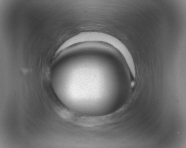 X0000082140045200702021620