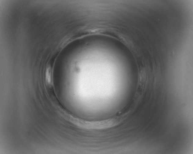 X0000082140046200702021620