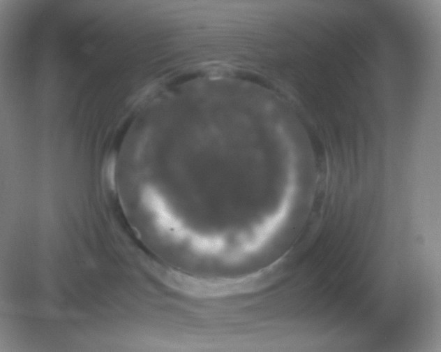 X0000082140047200702021620