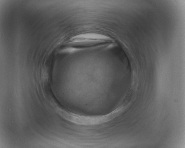 X0000082140048200702021620