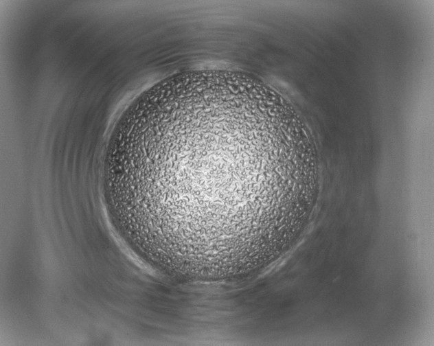 X0000082140049200702021619