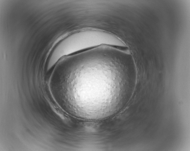 X0000082140050200702021619