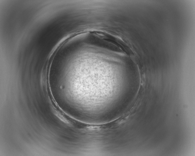 X0000082140052200702021619