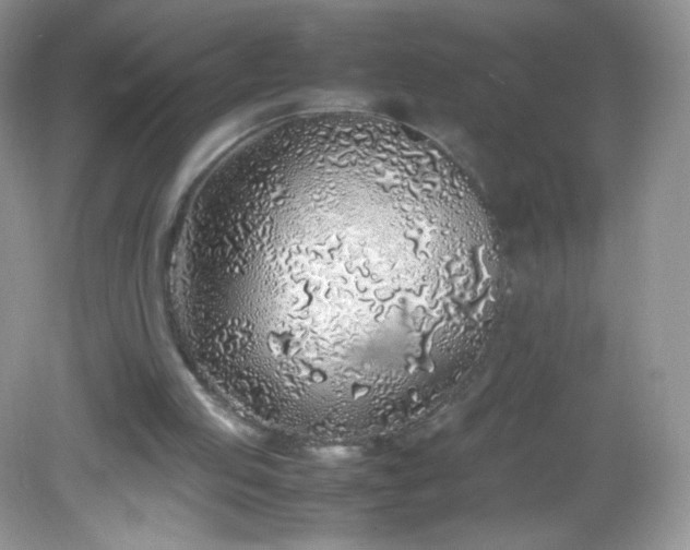 X0000082140053200702021620