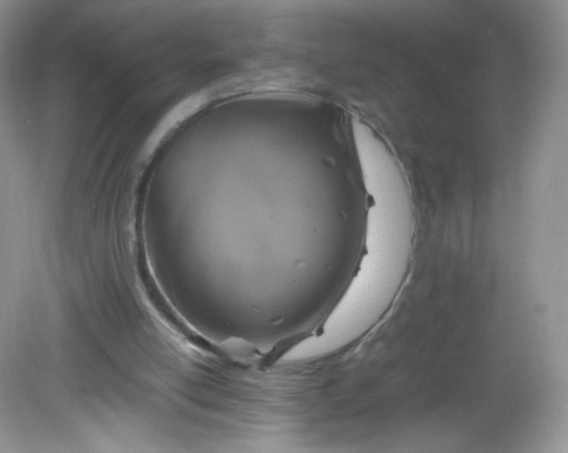 X0000082140054200702021620