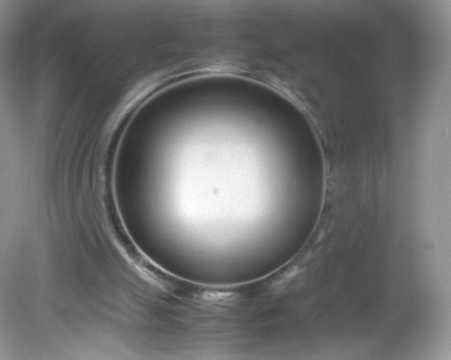 X0000082140055200702021620