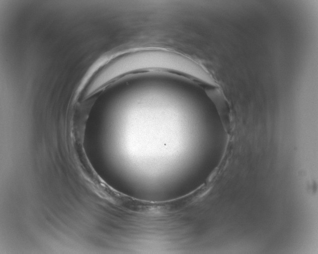 X0000082140056200702021620