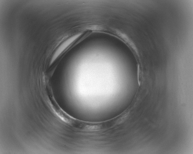 X0000082140057200702021620