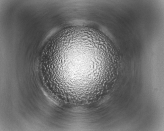 X0000082140058200702021620