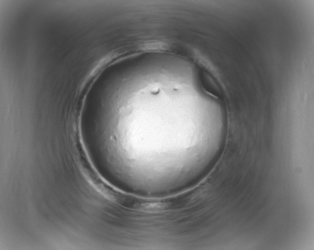 X0000082140059200702021620