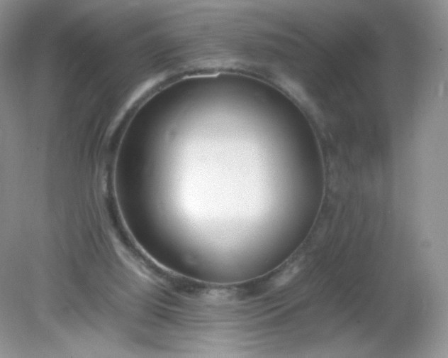 X0000082140060200702021620