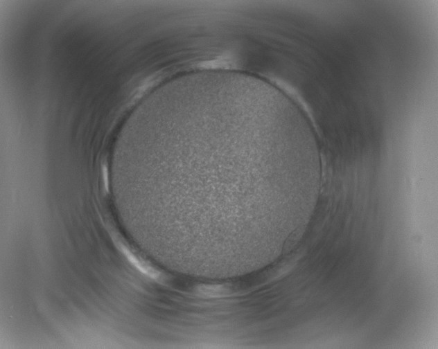 X0000082140061200702021620