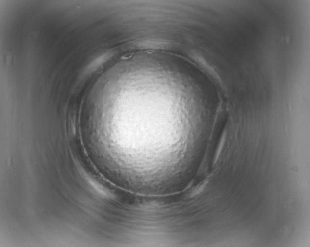 X0000082140062200702021620