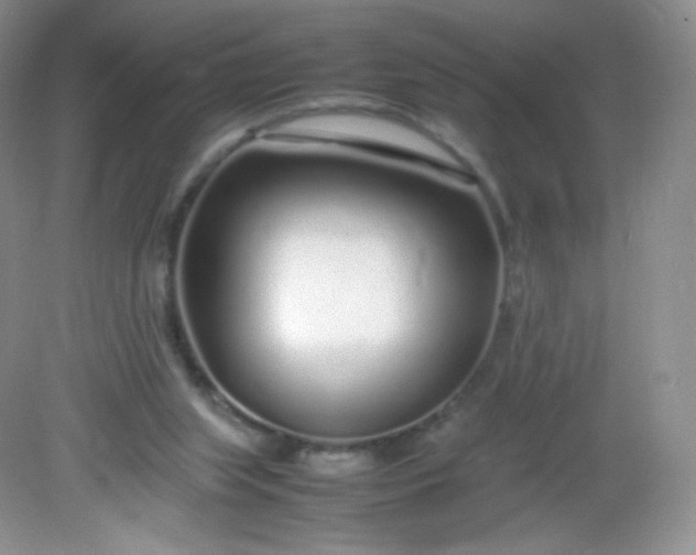 X0000082140063200702021620