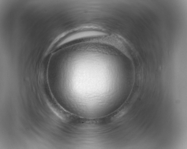 X0000082140064200702021620