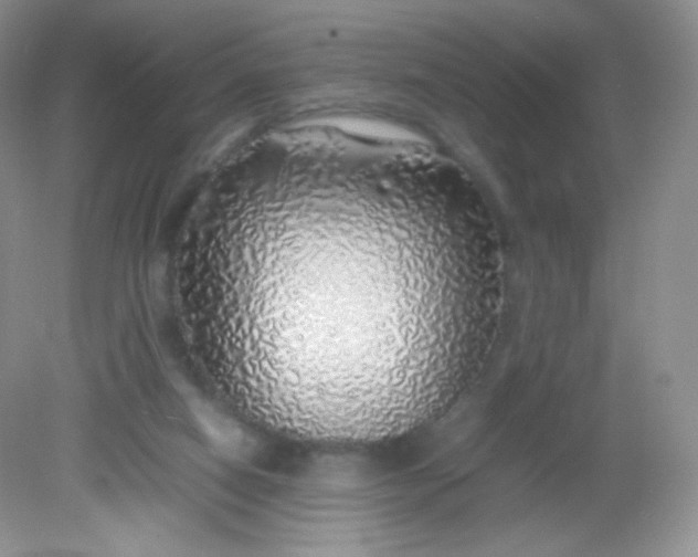 X0000082140066200702021620