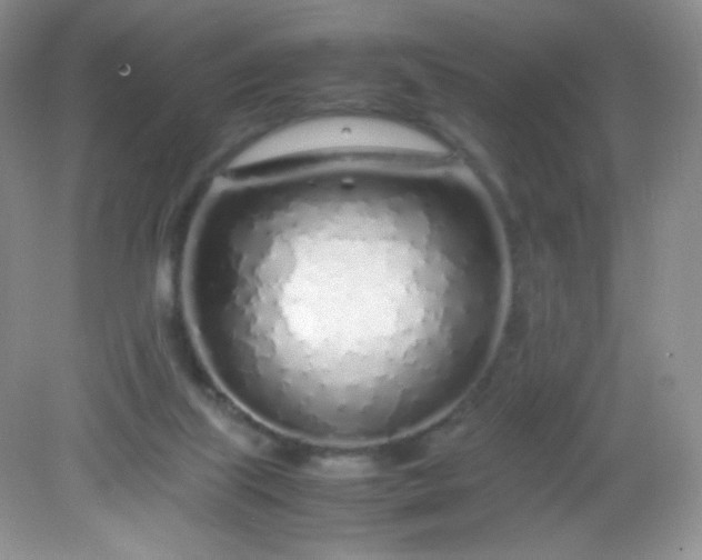 X0000082140067200702021620