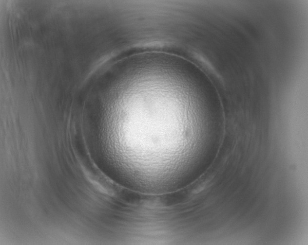 X0000082140068200702021620