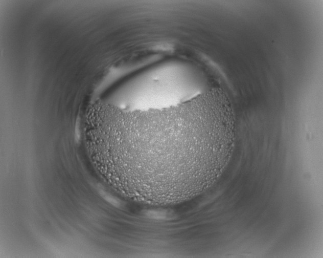 X0000082140069200702021620