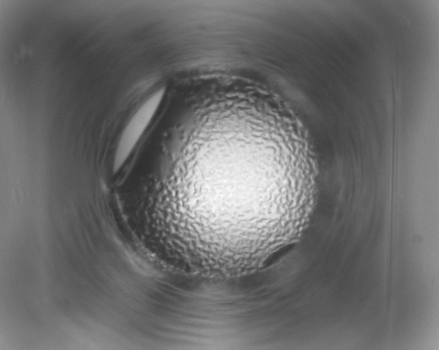 X0000082140070200702021620