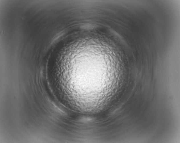 X0000082140071200702021620