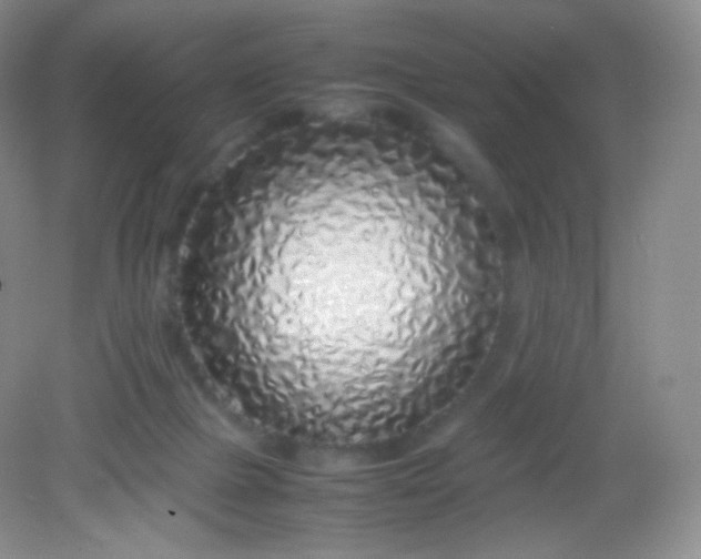 X0000082140073200702021620