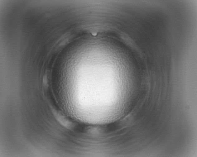 X0000082140074200702021620