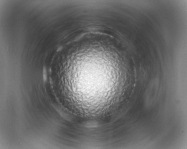 X0000082140075200702021620