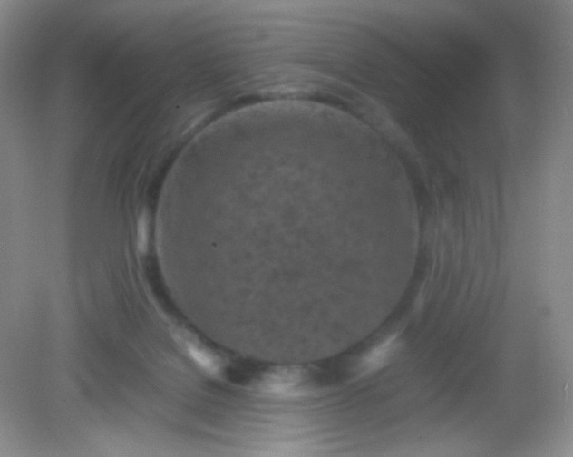 X0000082140076200702021620