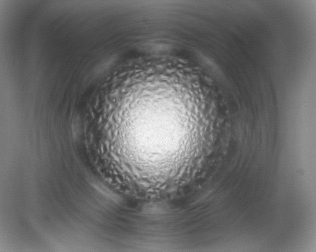 X0000082140077200702021620