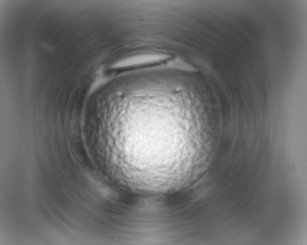 X0000082140078200702021620