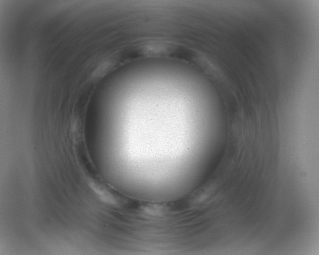 X0000082140079200702021620