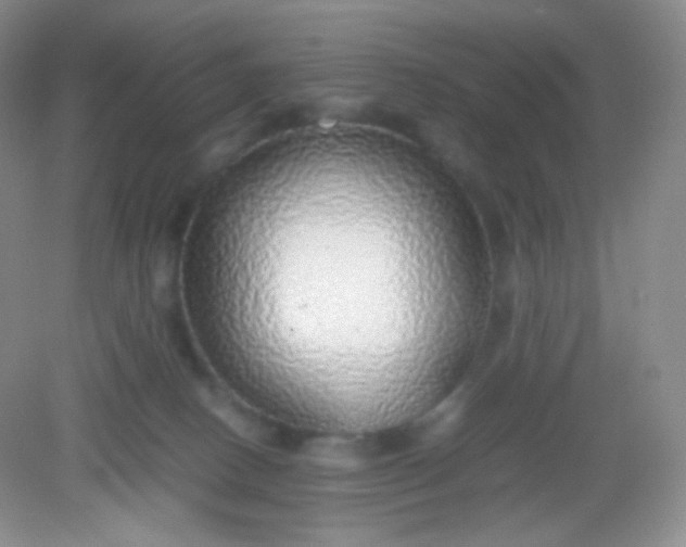 X0000082140082200702021620