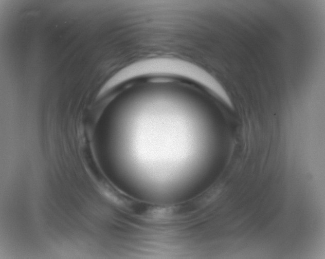 X0000082140084200702021620