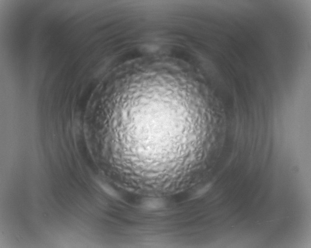 X0000082140085200702021620