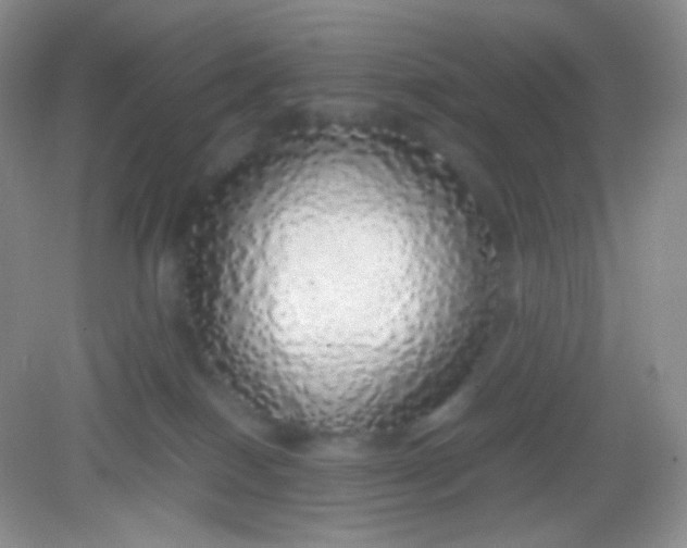 X0000082140086200702021620