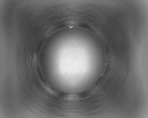 X0000082140087200702021620