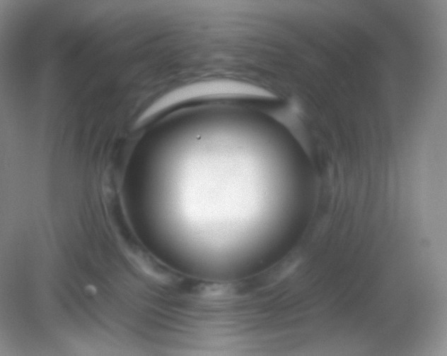 X0000082140088200702021620