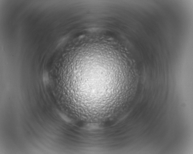 X0000082140089200702021620