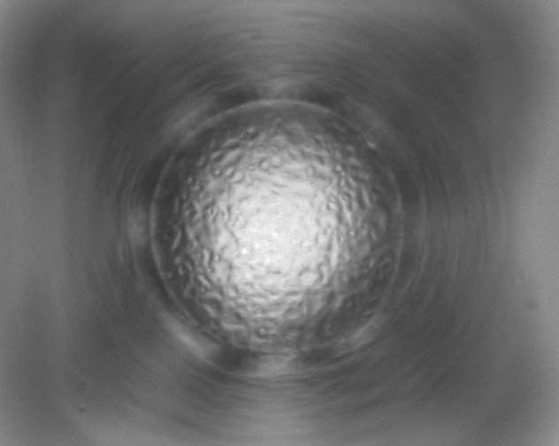 X0000082140090200702021620