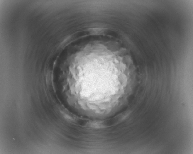 X0000082140093200702021620